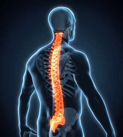 This image has an empty alt attribute; its file name is thoracic-spine-myelopathy.jpg